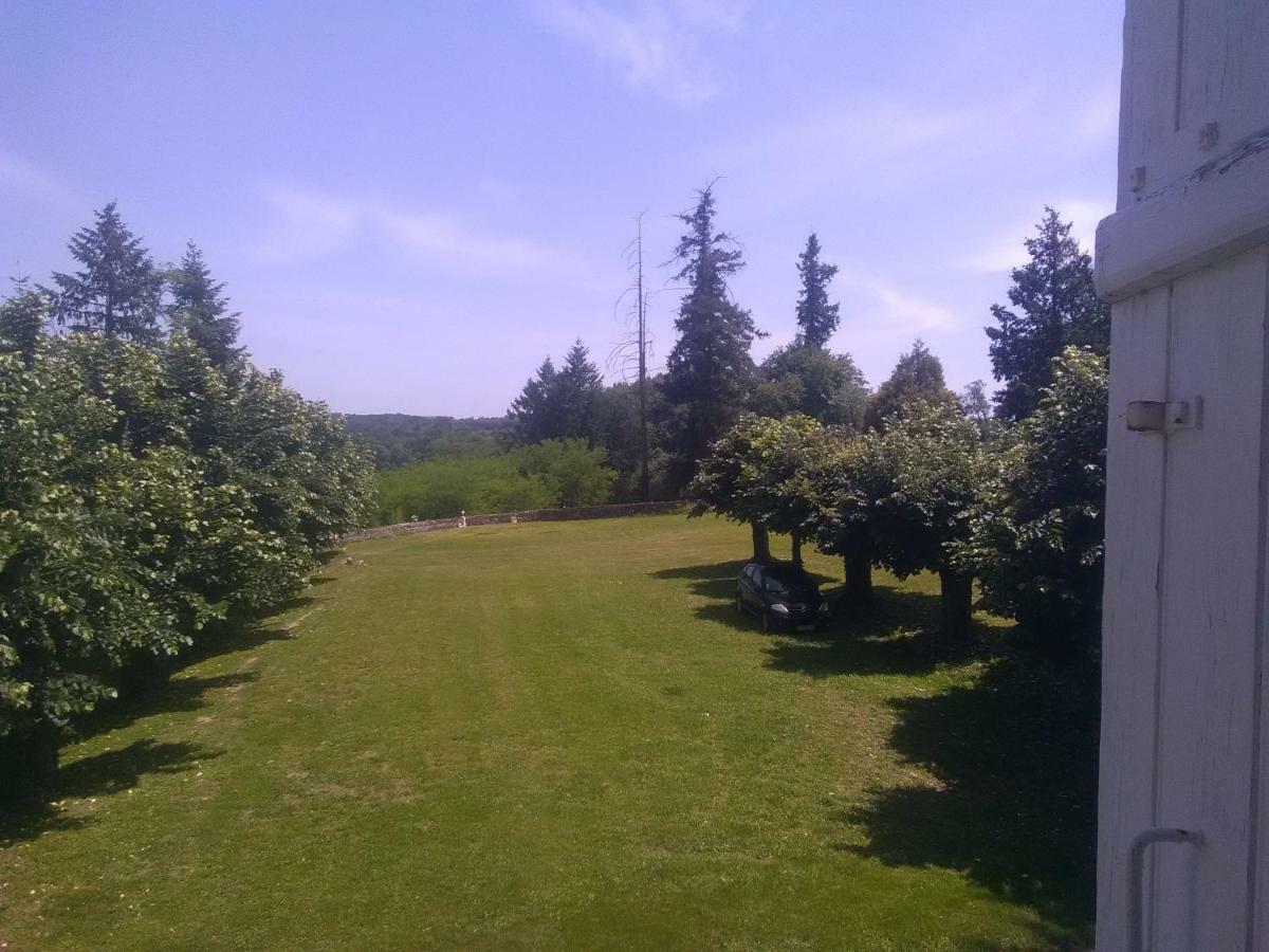 Pierre Deluen Domaine De La Grange De Quaire Bed & Breakfast Chassenon Exterior photo